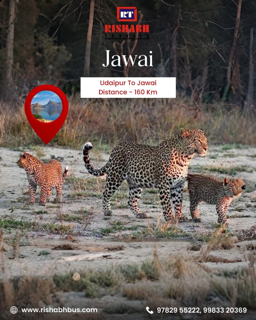 Udaipur to Jawai